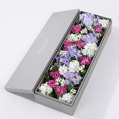 紫色白邊康乃馨8枝、白繡球1枝、藍紫色繡球1枝